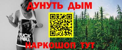 хмурый Кингисепп